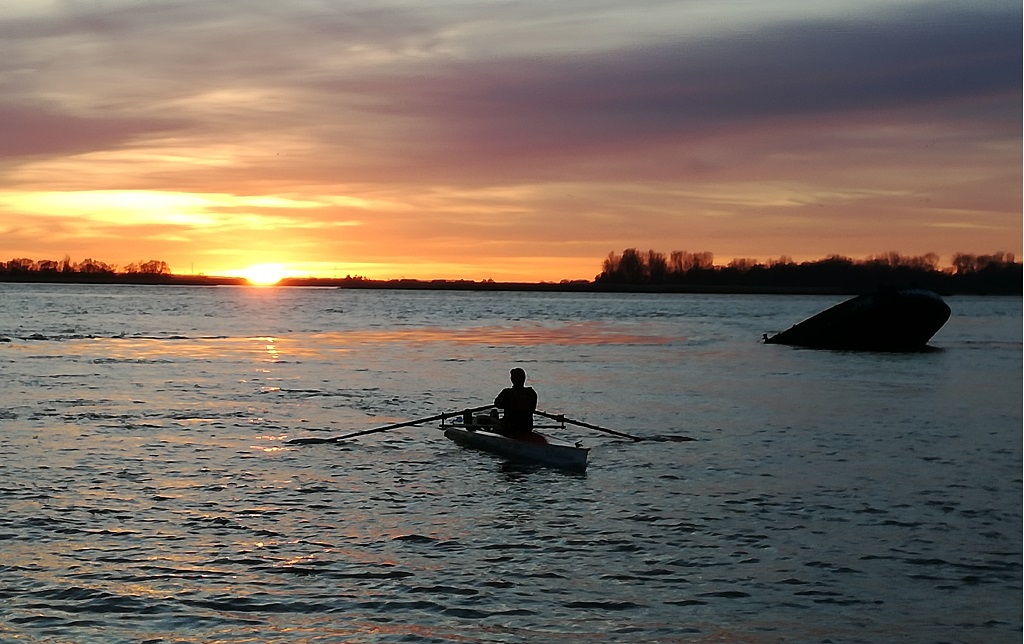 Coastal-Ruderin in Abendstimmung